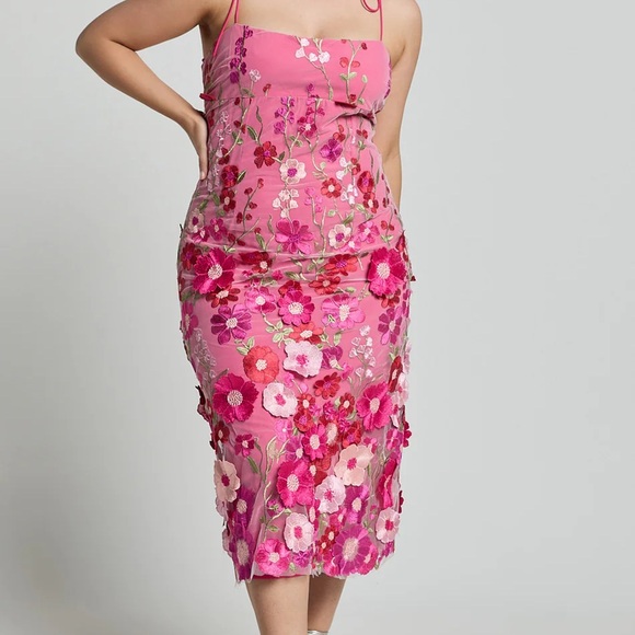 Showpo Pink Floral Embroidered Midi Dress - Picture 4 of 5